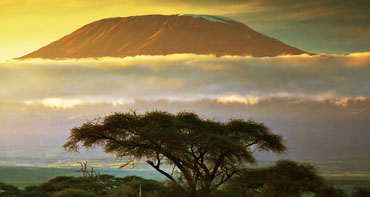 The peak of Kilimanjaro